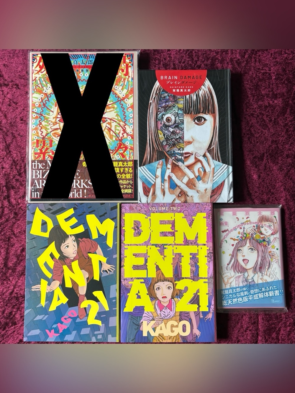 Shintaro Kago Manga & Art Book Bundle